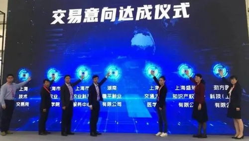 專利拆分與分別許可 以11.28億價(jià)值專利實(shí)現(xiàn)收益最大化的上海技術(shù)服務(wù)與技術(shù)開(kāi)發(fā)策略